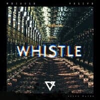 Whistle