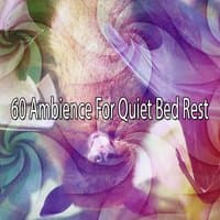 60 Ambience For Quiet Bed Rest