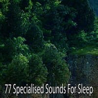 77 Specialised Sounds For Sleep