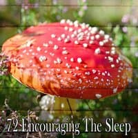 72 Encouraging the Sleep