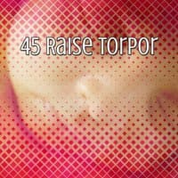 45 Raise Torpor