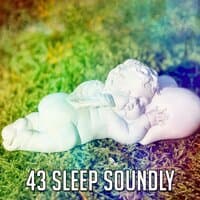 43 Sleep Soundly