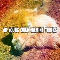 40 Young Child Calming Tracks