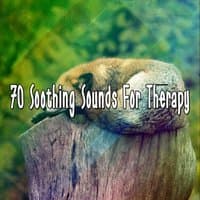 70 Soothing Sounds For Therapy