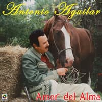 Amor Del Alma