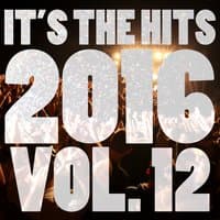 It's The Hits 2016! Vol. 12