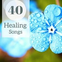 40 Healing Songs - Ambient Spa Music for Massage, Zen Flutes & Nature Sounds