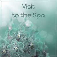 Visit to the Spa - Mask Purifying, Soothing Massage, Body Peeling, Massage Clinic, Regeneration of Body, Calming the Mind