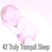 42 Truly Tranquil Sleep