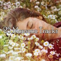 25 Monsoon Tracks