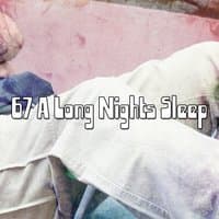 67 A Long Nights Sleep