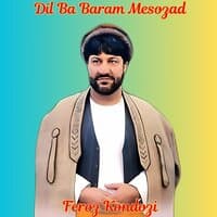 Dil Ba Baram Mesozad