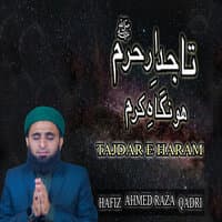 Hafiz Ahmed Raza Qadri