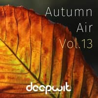 Autumn Air, Vol. 13