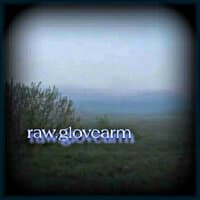 raw.glovearm