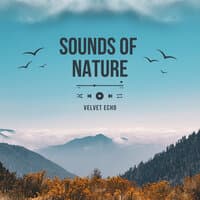 Sounds of Nature