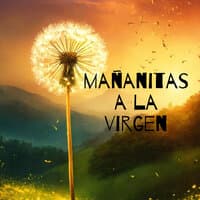 Mañanitas a la Virgen