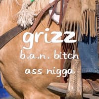 B.a.n. Bitch Ass Nigga