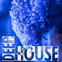 Deep House