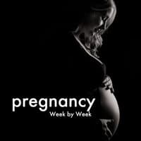 Pregnancy Week by Week: 20 Lullabies for Babies, Sleep Music for Birth