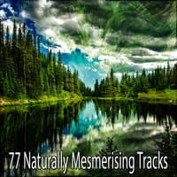 77 Naturally Mesmerising Tracks