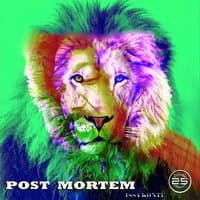 Post Mortem