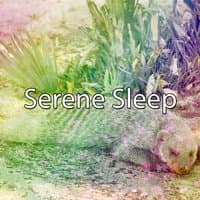 Serene Sleep