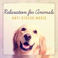 Relaxation for Animals – Anti Stress Music, Better Sleep, Zen State, Good Influence, Positive Frequency, Soothing Sounds