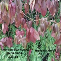 American Sda Hymnal Sing Along Vol. 03