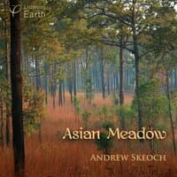 Asian Meadow