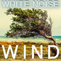 White Noise Wind