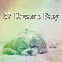 57 Dreams Easy