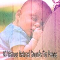 46 Various Natural Sounds for Peace