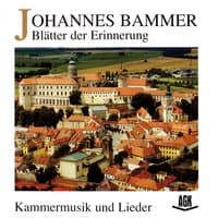 Johannes Bammer - Blätter der Erinnerung