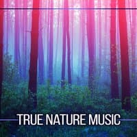 True Nature Music