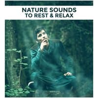 Nature Sounds to Rest & Relax – Music to Calm Down, Nature Music, New Age Relaxation, Soothing Sounds, Soft Waves