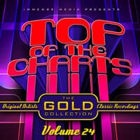 Immense Media Presents - Top Of The Charts, Vol. 24