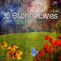 35 Storm Lives