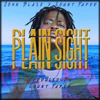 Plain Sight