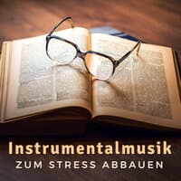 Instrumentalmusik zum Stress Abbauen: Leise Musik um Nicht in Panik zu Geraten und Besser zu Lernen