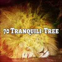 70 Tranquili Tree