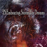 25 Embracing Storms for Dreams