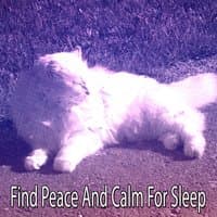 Find Peace And Calm For Sleep