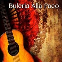 Guajira Flamenca Live