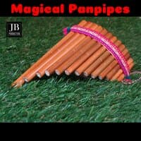 Magical Panpipes Medley: El Condor Pasa / Yesterday / Eleanor Rigby / Endless Love / Run to You / If You Love Me / Strawberry Fields Forever / The First Time Ever I Saw Your Face / Have You Ever Really Loved a Woman / I Need You / Dreamer / The Flame Tre