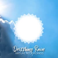 Drizzling Rain Nature Recordings