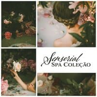 Sensorial Spa Coleção - Música para Massagem e Relaxamento Puro, Reflexologia, Shiatsu Massagem, Aromaterapia