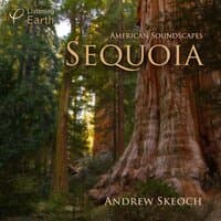 American Soundscapes: Sequoia