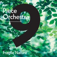 9 Piece Orchestra: Fragile Nature