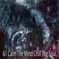 61 Calm the Mind Chill the Soul